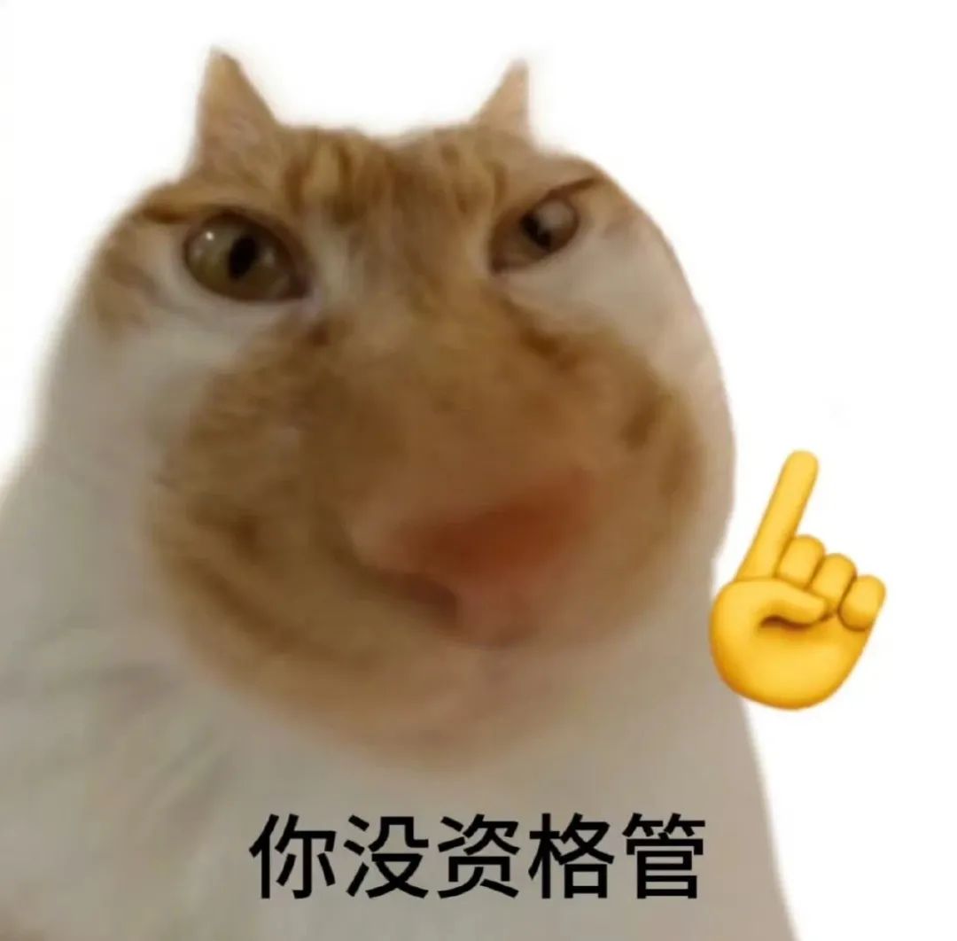 不要文凭年薪百万,旭旭宝宝怒斥土豪大姐诓骗粉丝,称不怕得罪她!粉丝:完了,大姐要被电击了!