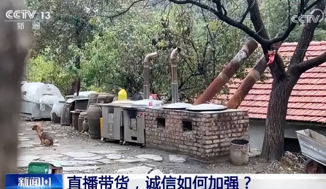 东北雨姐翻车全程:假人设、售假、税务罚单