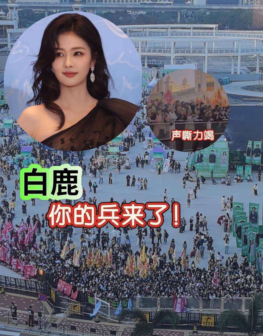 白鹿工作室六连辟谣 流量明星人设崩塌真相