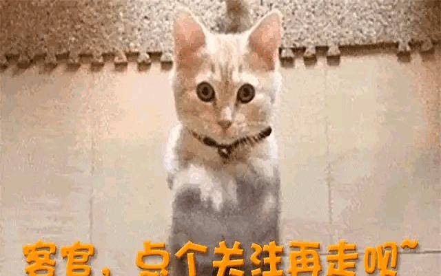 白鹿风波升级:十万红包难掩口碑崩塌