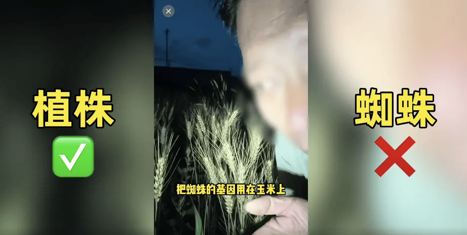 200万网红造谣袁隆平杂交水稻被封号